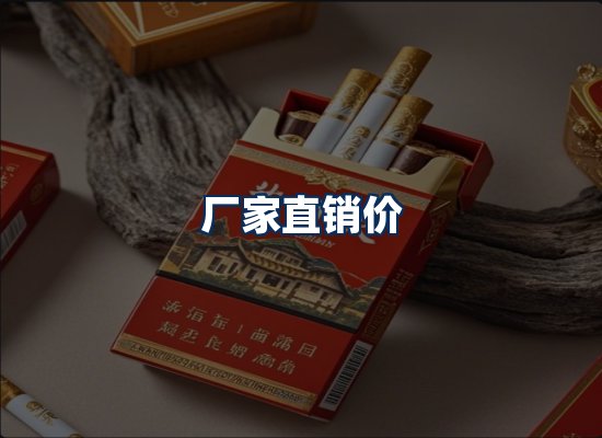 专业团队办公环境